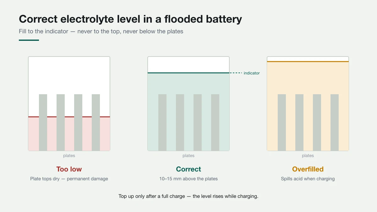 Too low exposes the plates and damages them permanently. Too high spills acid every time the battery charges. Cross-section of three battery cells showing electrolyte too low with plate tops exposed, the correct level 10 to 15 mm above the plates, and an overfilled cell that will spill acid during charging.